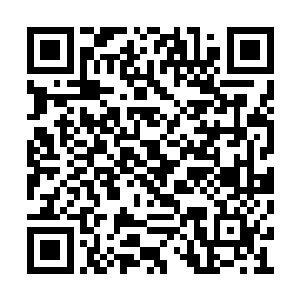 而且卢向东也隐隐感觉到是有人想故意把水搅混二维码生成