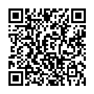 而且原本已经实化的元神此时也变成了半透明的样子二维码生成