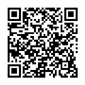 而且参加兽斗的角斗士如果获得胜利奖金也是十分丰厚的二维码生成