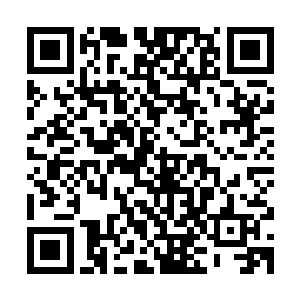 而且又确实是上元大陆在斩杀巨虫的过程中起了至关重要的作用二维码生成