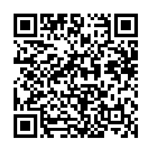 而且发布的追杀令里面只有他和剑宗二号白衣的名字二维码生成