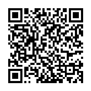 而且另一个瞳孔里面完全没有我的身影就映着一只诡异的眼睛二维码生成