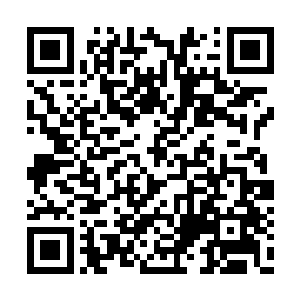 而且只说因为叔叔的饭馆因为食物出现安全问题二维码生成