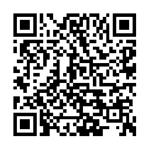而且司机们几乎都是一对一跟着携带枪支的人员二维码生成