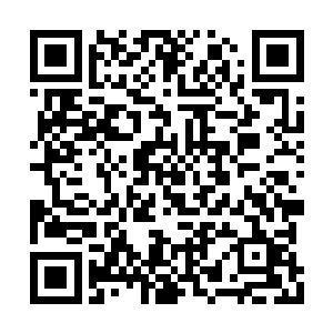 而且名气比之前绿草门的首席大弟子一夜还要大二维码生成