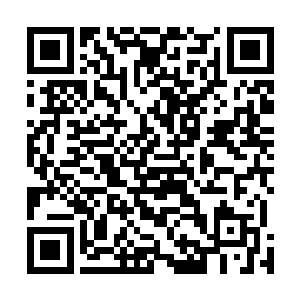 而且后来的鲲鹏们看样子对最先来的那只都没什么好脸色二维码生成