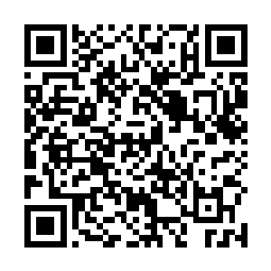 而且听他的意思是这个非公募基金会应该还处于筹备期二维码生成