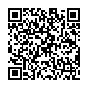而且听言语似乎新来的这个老教授是燕京大学中文系的二维码生成