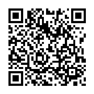 而且听说两人都把天一御法修炼到了八层的地步二维码生成