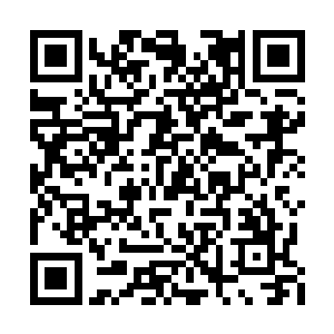 而且四大超级势力联盟还不知道许琴扬会化形术二维码生成