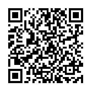 而且因为炼制的材料是从大妖王级别的妖修身上得来二维码生成