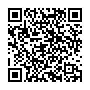 而且在临走的时候还对阮子玥云淡风轻地说了一句二维码生成