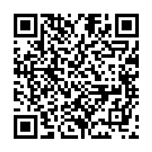 而且在从飞机上下来了以后就被他丢进了神水空间当中二维码生成