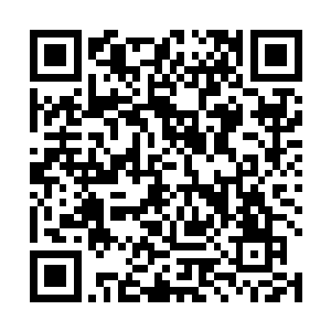 而且在关键时刻还能以自身的牺牲来拯救大家的教导连二维码生成
