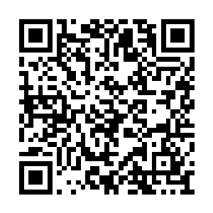 而且在密道内可能藏着狼王等超强高手的情况下二维码生成