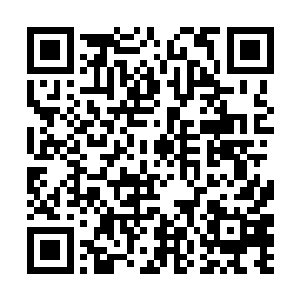 而且在昨天与我爷爷联系约好了的……每一桩每一件二维码生成