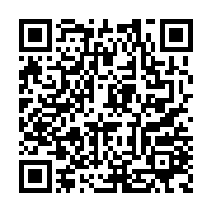 而且在流云阁那次事情中木萦也起了很大的作用二维码生成