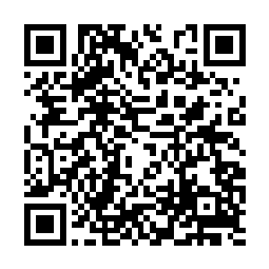 而且在现场时司南下已经指定自己全权负责这件事二维码生成