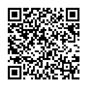 而且在跟安利斯塔交手的时候还让安利斯塔全身而退二维码生成