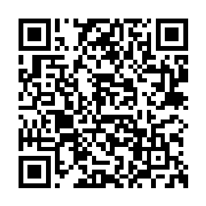 而且在这其中没人敢保证十二圣骑会不会下死手二维码生成