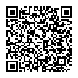 而且基本上都是之前他们在海岸边上遇到的炼虚境界要强大的多的气息二维码生成