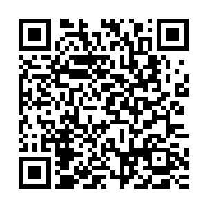 而且夏天居然能够在这么短的时间内再次调集如此恐怖的力量二维码生成