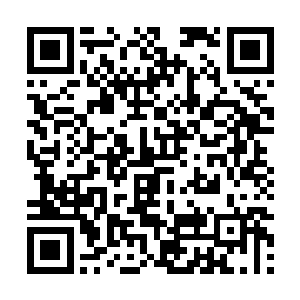 而且夏天显然是和那些ss级通缉犯之间的仇怨不少二维码生成