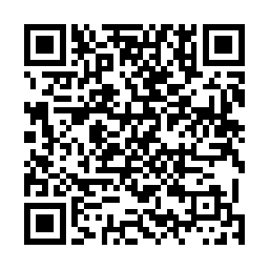 而且大管家那边也不想因为这件事情影响到家里面的和谐二维码生成