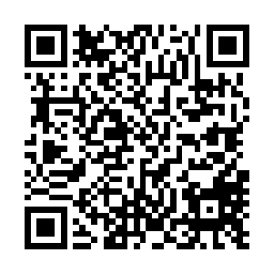 而且大红大紫到连省电视台的副台长都得赶着来给自己送礼二维码生成