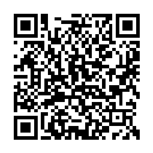 而且天柳城的那些天才们一个个也是蠢蠢欲动的二维码生成