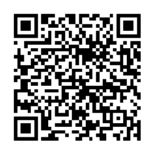而且天阵大陆这么多年来的灵气一直都没怎么被破坏过二维码生成