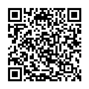 而且她也看出来自己这些手下现在也肯定是怕了二维码生成
