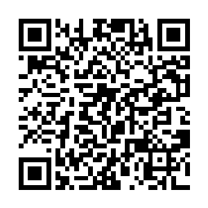 而且她从一开始就没打算让这四个宵小之辈活着离开二维码生成