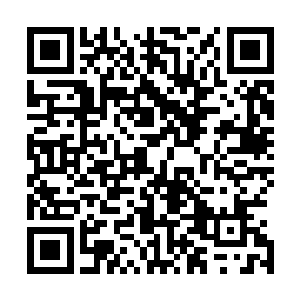 而且她目前的修为应该是苍茫大陆上最差的一个元婴期修士二维码生成