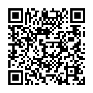 而且她身上也拥有一部分被激活的血族始祖的血脉二维码生成