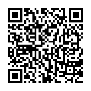 而且她还特意在美味佳肴里面放里瑶池李家最为珍贵的天灵水二维码生成