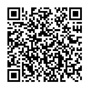 而且如今就算是那些南方家族派来监视太虚宗的修士也不敢靠近太虚宗二维码生成