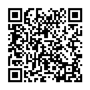 而且如今还不知道我们是否能够得到莲花中的传承二维码生成