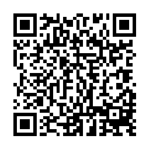 而且如同金属一般在月光的照耀下闪烁着寒冷而锋锐的光泽二维码生成