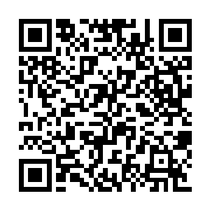 而且它们对于种植的位置和环境也有很大的挑剔二维码生成