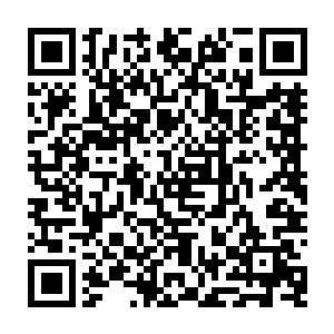 而且它的防御能力和应变机制也不是我们这四大世界的想法设计所能够想象到二维码生成