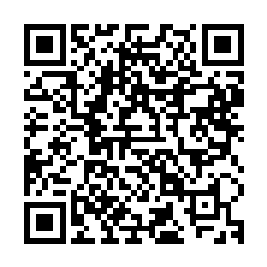 而且它的龟背上也被穷奇的尖刺毛发给刻下了深深的几百道痕迹二维码生成