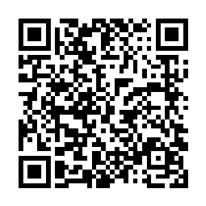 而且家里面的东西基本上都是小羽这个孩子送过来的二维码生成