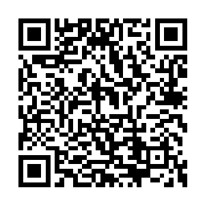 而且对方是他们根本无力抵抗的两位真正的神明二维码生成