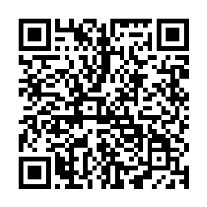 而且对方还不惜豁出一张老脸亲自来替他说情力保其进洛氏集团二维码生成