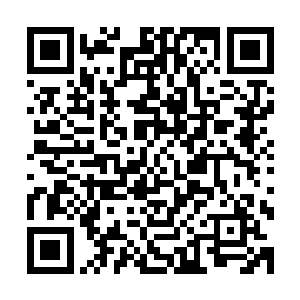 而且将宝器拳的金属性拳法金之拳意已经修炼至大圆满的境界二维码生成