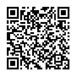 而且就算是当年巅峰状态下的爱丽丝也没有斩出三尸啊二维码生成