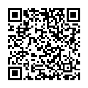 而且就算说了得到的恐怕也是这个少女的拳脚回答吧二维码生成