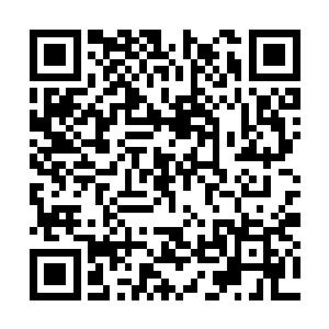 而且就连血液以及生机都被这些飞天蚁一同吸走了二维码生成
