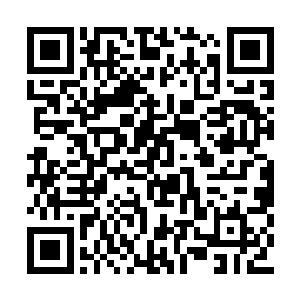 而且廷尉府的骑士高手在这里击杀了上万的血人二维码生成
